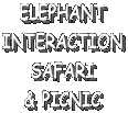 ELEPHANT
INTERACTION
SAFARI
& PICNIC

