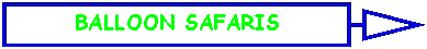 Right Arrow Callout: BALLOON SAFARIS