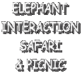 ELEPHANT
INTERACTION
SAFARI
& PICNIC
