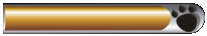 NAV BAR HOME PG